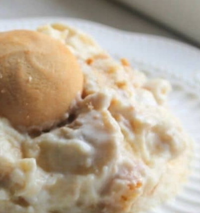 SOUTHERN BANANA PUDDING RECIPE 1k Recipes   Download 10 4 