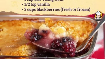Warm & Sweet Blackberry Cobbler